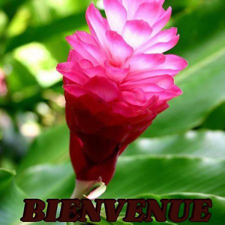 Alpinia Διαμέρισμα Sainte-Anne Εξωτερικό φωτογραφία